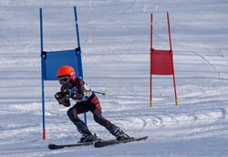 Picture of Senior Season Pass - 2025 - 2026 Season