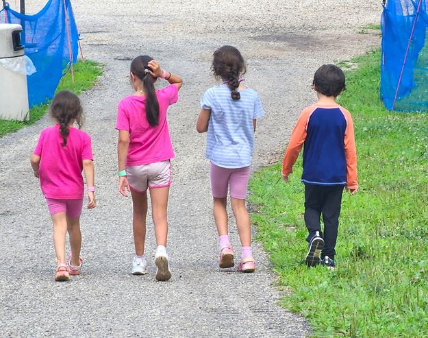 Picture of Summer Camp, Rookie Week, 4 - 6 year olds