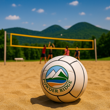 Picture of Volleyball League - Team of 4